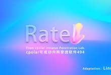 隐藏式办公娱乐神器Ratel斗地主服务器:cpolar内网穿透实验室第494个成功挑战-171主机测评