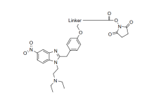 Isotonitazene succinimidyl ester:生化检测用阿片配体琥珀酰亚胺酯衍生物-171主机测评