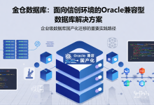 信创环境下的Oracle兼容型数据库解决方案-171主机测评