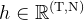 h \\in \\mathbb{R}^{(\\mathrm{T}, \\mathrm{N})}