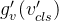 g_v'(v'_{cls})