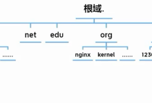 深度解析 DNS服务：从基础原理到自建 DNS 服务器完整指南-171主机测评