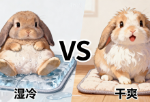 冷凝水——才是宠物空调设计里最危险的隐形杀手-171主机测评