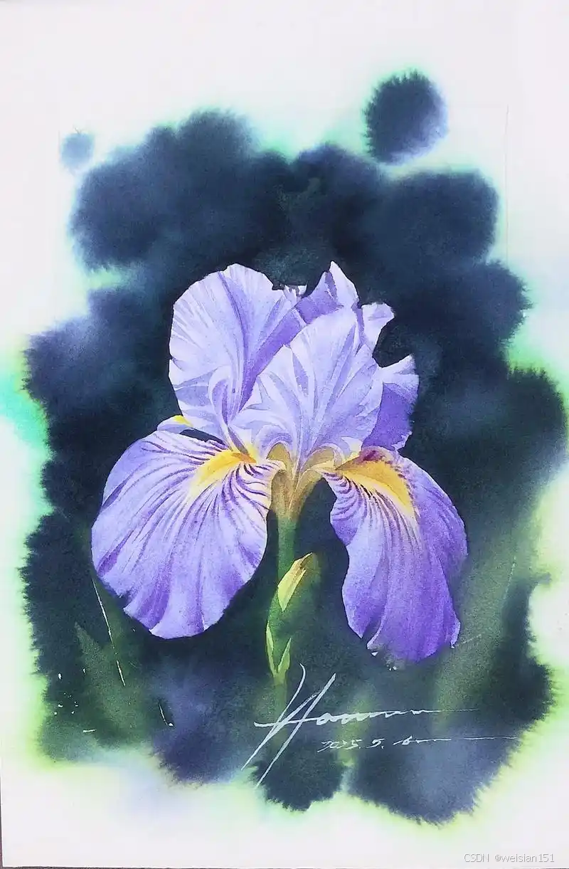 在这里插入图片描述