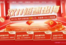 华纳云:双11钜惠出海,美国/香港云服务器,5M CN2低至24元/月;物理服务器终身价688元/月-171主机测评