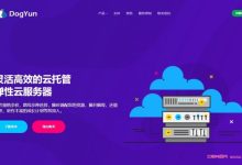 DogYun狗云:春节优惠,特价香港vps年付199元,独立服务器月省100元,充100送10元,幸运大转盘抽5折-171主机测评