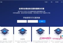 DiyVM:日本/美国/香港CN2 vps,2核/2G内存/50G硬盘/5Mbps带宽,月付50元起;香港服务器499元/月起-171主机测评