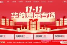 华纳云双11专场：香港/美国境外云服务器10M CN2低至51元/月，香港/美国/新加坡物理服务器50M CN2仅需888元/月!-171主机测评