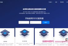 DiyVM：香港/日本/美国VPS月付50元/月起，E5-2630L*2香港服务器月付499起-171主机测评