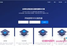 DiyVM：香港/日本/美国vps，2核/2G内存，50元/月起;香港服务器，CN2线路可选，499元/月起-171主机测评