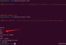 OpenClaw(Clawdbot/Moltbot)如何正确的配置浏览器,实现对浏览器的自动化操作功能(浏览器状态为running:false怎么办)-171主机测评
