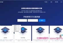 DiyVM补货:香港服务器499元/月起,日本/香港CN2 VPS月付50元起-171主机测评