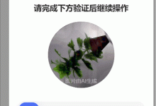 百度旋转验证码识别-171主机测评
