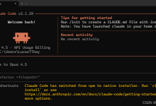 【保姆级教程】Claude Code 进阶指南：用 Everything Claude Code 打造更有“记忆”的 AI 程序员-171主机测评