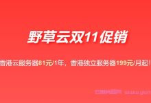 野草云:双11促销,香港云服务器81元/1年,香港物理服务器199元/月起-171主机测评