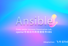 远程批量管理 NAS 设备,Ansible让操作自动化!:cpolar 内网穿透实验室第 486 个成功挑战-171主机测评