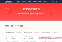 野草云:香港云服务器81元/年,香港物理服务器199元/月,美国云服务器99元/年-171主机测评