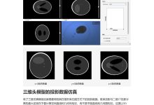 CT断层成像系列09——三维锥束Shepp-Logan头模型设计实现与正向投影实现(附Matlab代码)-171主机测评