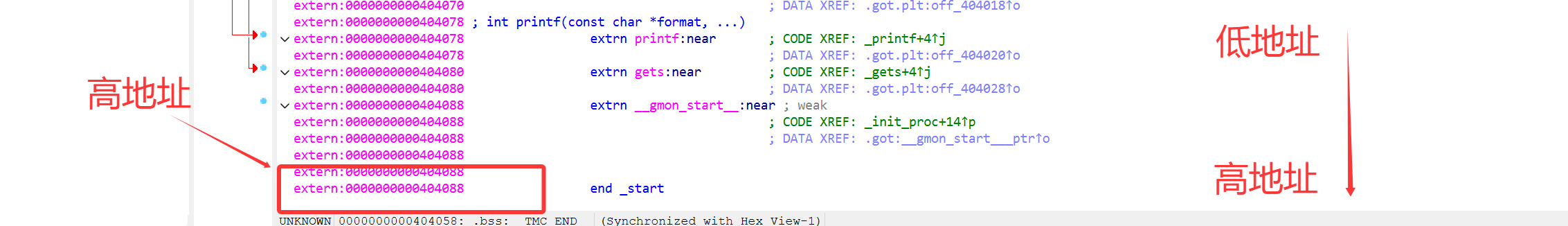 image-20260222205256769