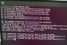 Ubuntu openvas 初始化失败:rsync error; error in socket I0 (code 10)at clientserver.c(128)[Receive...如何解决?-171主机测评