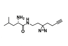3076289-31-8,Leucine-Diazirine-Alkyne:含炔基双吖丙啶亮氨酸 点击化学-光交联双功能探针-171主机测评