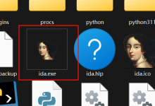 IDA9.1+TRAE完成自动化逆向-171主机测评