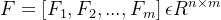 F= \\left [ F_{1},F_{2},...,F_{m} \\right ]\\epsilon R^{n\\times m}