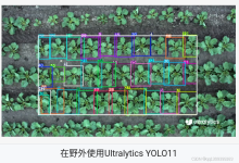基于深度学习opencv的YOLO11 yolov13 yolo26 detr算法的ROI区域追踪监测系统项目 计算机视觉技术 数据集+界面+模型-171主机测评