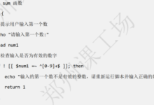 Shell编程之函数与数组-171主机测评