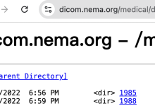 DICOM介绍与实战:文件解析、Java/Python库、MONAI、MedImageInsight-171主机测评