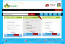 SteadyTurtle加拿大vps:2核2G/无限流量/100Mbps/7.95美元/月,免费DDoS防御-171主机测评