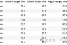 Python数据分析：可视化帕默群岛企鹅数据项目实战-171主机测评
