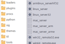 IDA Pro 远程调试指南：gdbserver / armlinux_server 全流程实战-171主机测评