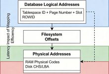 数据库系统工程师-从操作系统存储管理透视数据库性能优化：软考核心考点深度解析-171主机测评