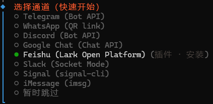 选择飞书