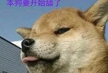 2026前端避坑指南：死磕CSS3双半圆进度条，拒绝JS也能丝滑动效-171主机测评