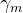 \\gamma _{m}