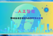 人工智能:预训练语言模型与BERT实战应用-171主机测评
