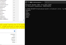 FlinkSQL一篇文档讲清楚-171主机测评