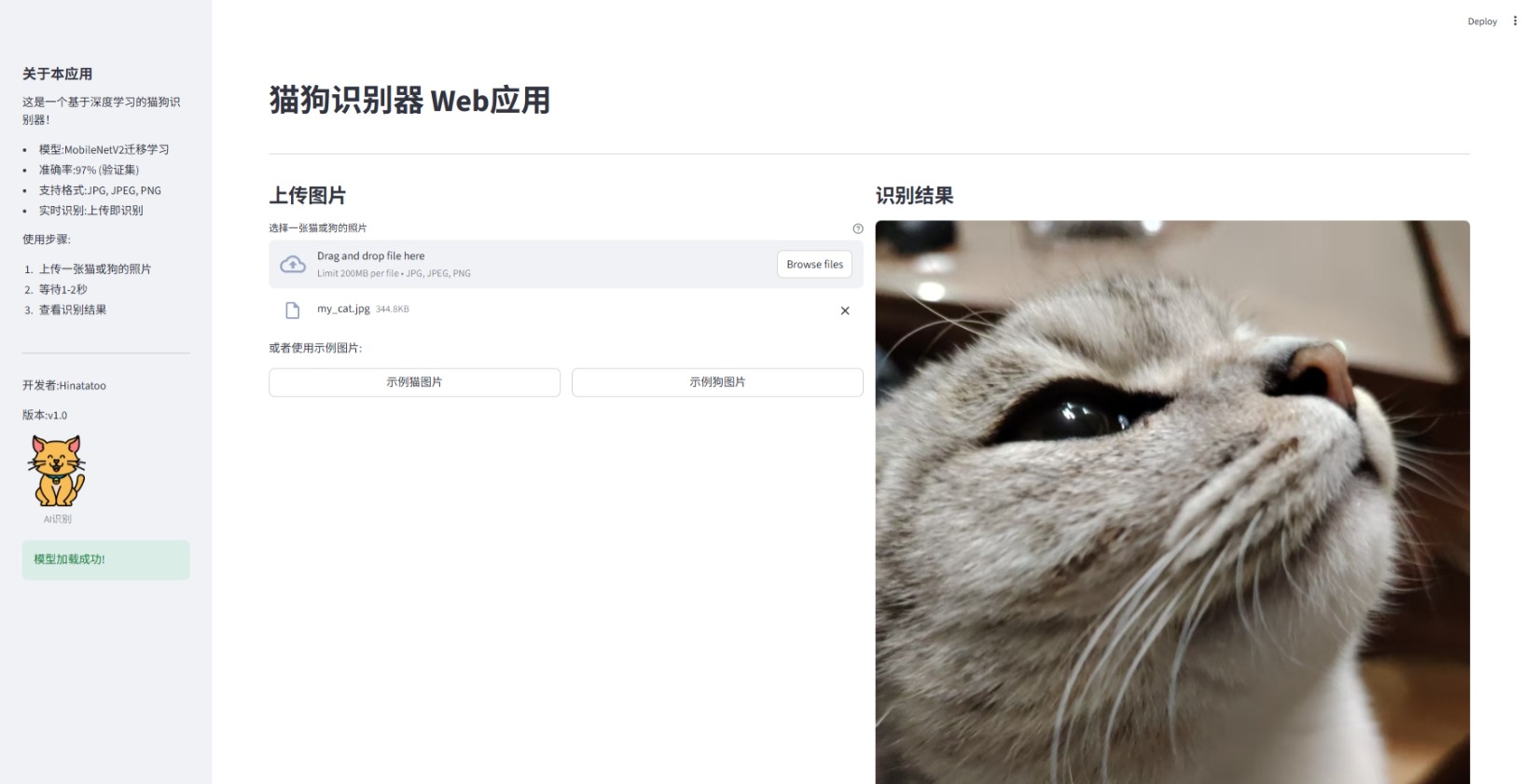 识别示例