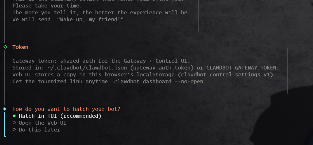 OpenClaw 钉钉教程 - 选择 TUI 终端界面