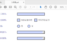 Python 实现 PDF 表单域的自动化创建与智能填充-171主机测评