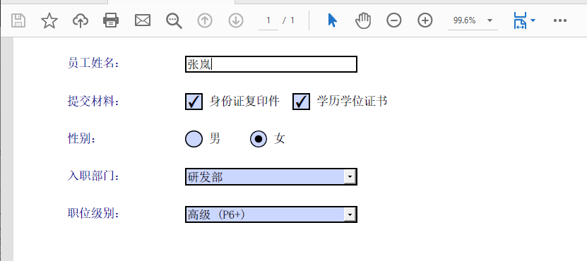 填充完成后的 PDF 文档