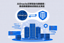 关系型数据库国产化迁移中的兼容性与多模开发实践观察-171主机测评