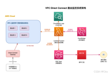 AI 加持:Amazon VPC Direct Connect 路由监控系统构建实践-171主机测评