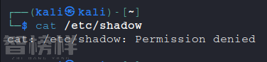 image-20260203213548129