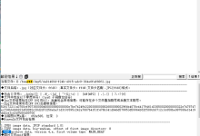 buuctf-misc-171主机测评