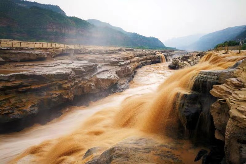 Shenyu区块链存储架构
