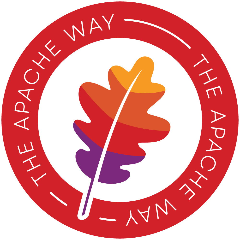 Apache Shenyu支持