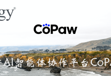 国产AI智能体协作平台CoPaw-171主机测评